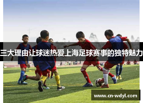三大理由让球迷热爱上海足球赛事的独特魅力