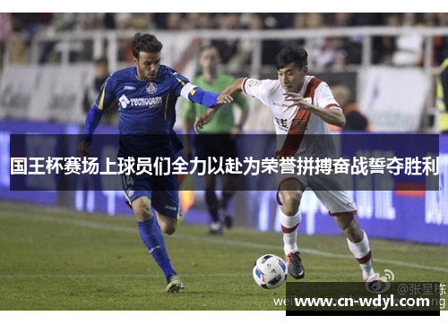 国王杯赛场上球员们全力以赴为荣誉拼搏奋战誓夺胜利
