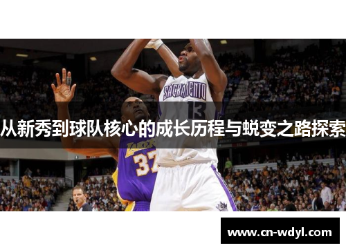 从新秀到球队核心的成长历程与蜕变之路探索