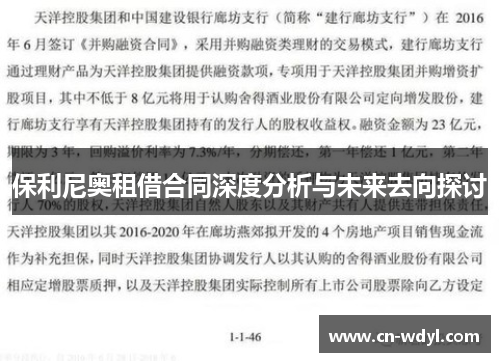 保利尼奥租借合同深度分析与未来去向探讨