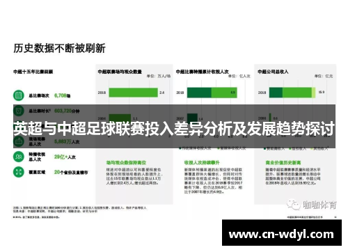 英超与中超足球联赛投入差异分析及发展趋势探讨
