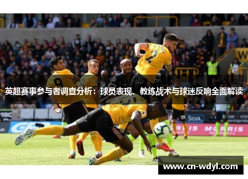 英超赛事参与者调查分析：球员表现、教练战术与球迷反响全面解读