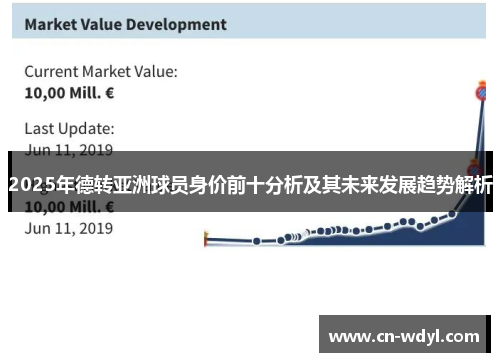 2025年德转亚洲球员身价前十分析及其未来发展趋势解析