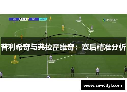 普利希奇与弗拉霍维奇：赛后精准分析