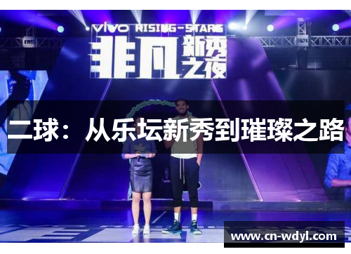 二球：从乐坛新秀到璀璨之路