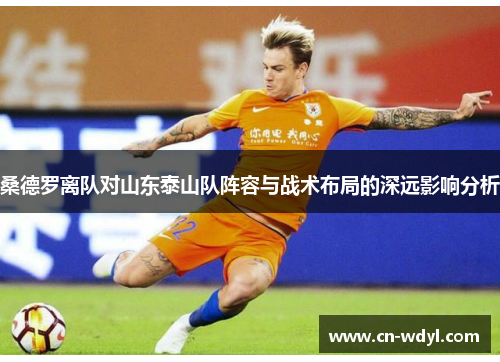 桑德罗离队对山东泰山队阵容与战术布局的深远影响分析