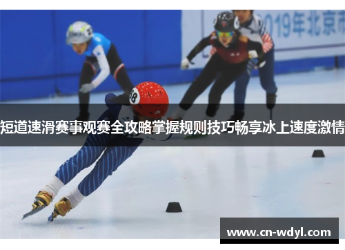 短道速滑赛事观赛全攻略掌握规则技巧畅享冰上速度激情