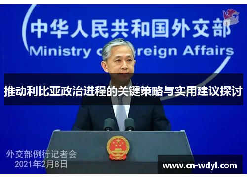 推动利比亚政治进程的关键策略与实用建议探讨