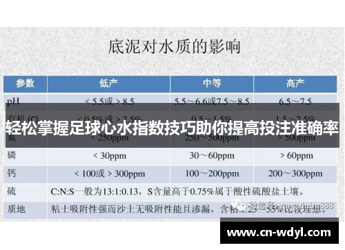 轻松掌握足球心水指数技巧助你提高投注准确率