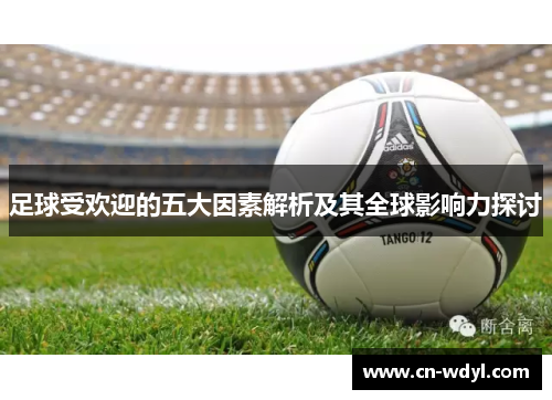 足球受欢迎的五大因素解析及其全球影响力探讨