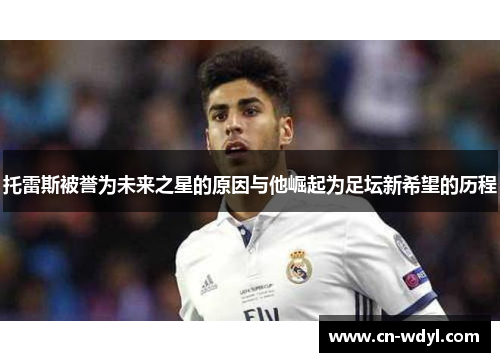 托雷斯被誉为未来之星的原因与他崛起为足坛新希望的历程