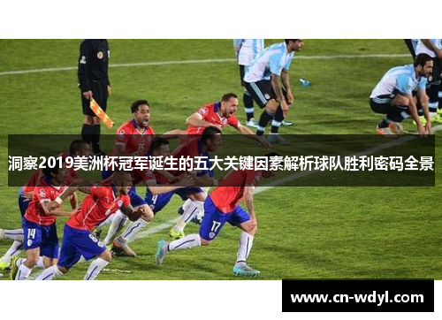 洞察2019美洲杯冠军诞生的五大关键因素解析球队胜利密码全景