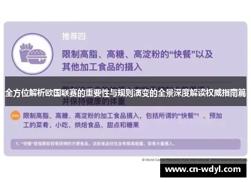 全方位解析欧国联赛的重要性与规则演变的全景深度解读权威指南篇